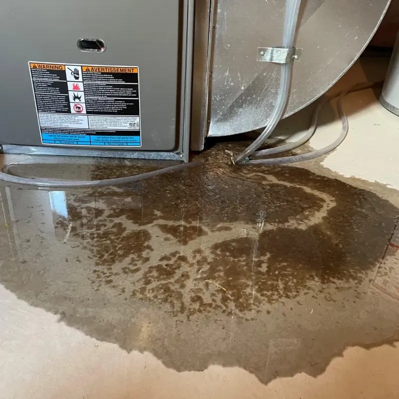 Appliance Leak Cleanup in Marion, AL